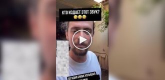 Мужчина нашел источник странного звука