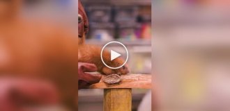 Очаровательный детеныш дикобраза