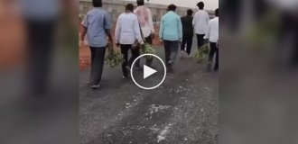 Стащили все, что росло: открытие элитного индийского аэропорта закончилось погромом