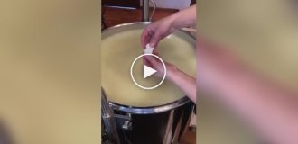 Cheese making