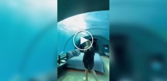 Hotel room with a view of the underwater world