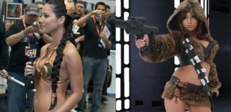 20 sexiest cosplays of Star Wars characters (21 photos)