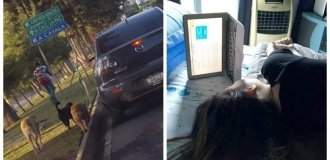 20 забавных примеров того, когда лень-матушка победила (21 фото)
