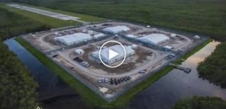 Во Флориде появится свой «Алькатрас с аллигаторами»
