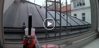 Как отучить голубей садиться на лоджию