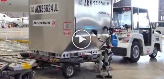 Японская авиакомпания внедряет человекоподобных роботов в аэропортах из-за нехватки рабочих рук