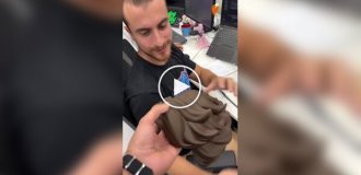 Парень распечатал коллеге парик на 3D-принтере