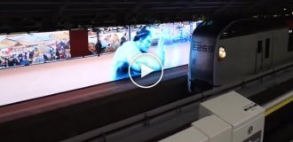 A sumo wrestler stopped a train to save a cat