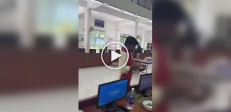 В Индии аукционы по продаже кардамона превращаются в настоящее шоу