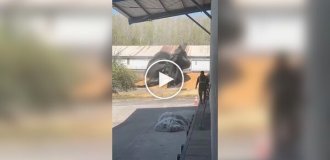 Пакет влаштував шоу у дворі