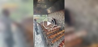Who wants grilled chicken?
