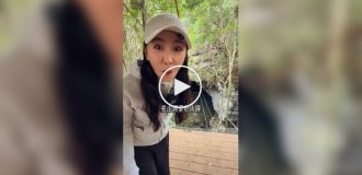 Ресторан для экстремалов в Китае