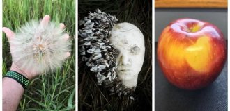 30 кадров, которые заставят вас протереть глаза (31 фото)