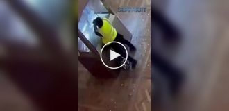 Новые кадры момента ограбления Лувра