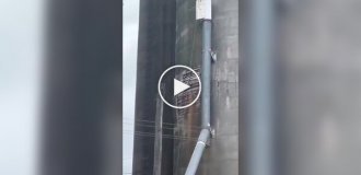 Обрушения силосной башни в американском городе