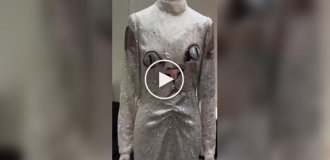 Бренд Valentino представил уникальное платье с котом