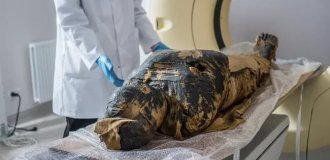 The results were shocking: the secret of the most unusual Egyptian mummy was revealed (5 photos)