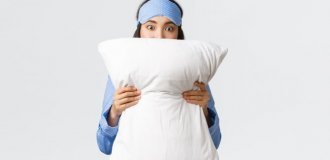 Дакимакура: Эволюция японской культуры, анатомия здорового сна и идеальный подарок