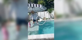 Странные видео (короткие видео). Выпуск 29