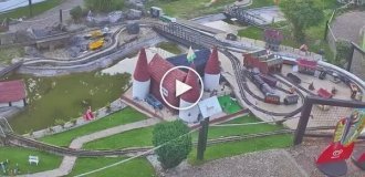 Foxes turned a model village into their own playground