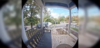 Робот-доставщик не справился с посылкой