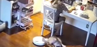 Реакция на пылесос