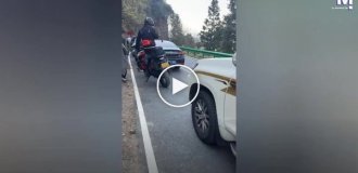 When Cute Monkeys Become Cheeky: A Tourist Almost Loses His Pants