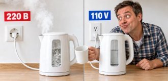 Почему в США 110 вольт, а у нас 220 — и зачем Америка полтора века держится за «слабую» розетку (8 фото)