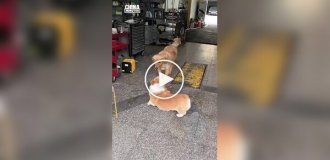 Необычная традиция двух друзей на СТО