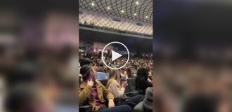 Зритель заменил клавишника на концерте
