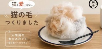 Sweet furball: The Japanese turned cat lovers' worst nightmare into a dessert (3 photos)