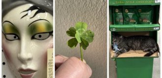 22 необычных повседневных странности, которые не объяснить логикой (23 фото)