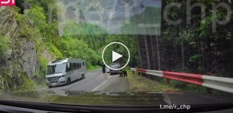 Медведь подкрался незаметно