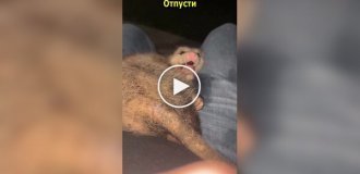 Девушка не в восторге от нового друга ее парня