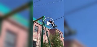 What children in the courtyards dreamed of: a man spun around on a swing