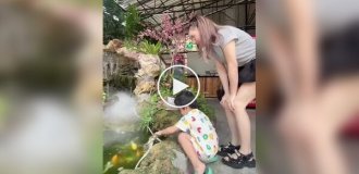 Frog scared young fish lover