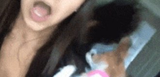 Классные гифки. Выпуск 2736 (75 гифок)