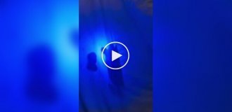 Почему нужно всегда проверять постель в отеле ультрафиолетовым фонариком