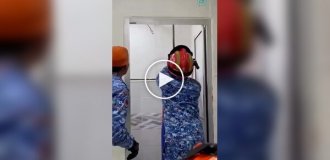 Крупную змею поймали в доме учительницы