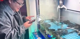 В Китае вместо игрушек в автомате — живые лобстеры