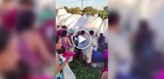 Сладкая авария: люди опустошили грузовик с сахаром