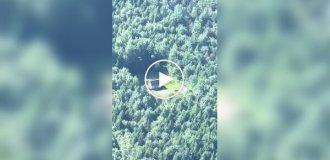 Идеальное жилье для интроверта