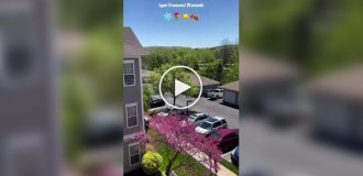 4 сезона года за 20 секунд