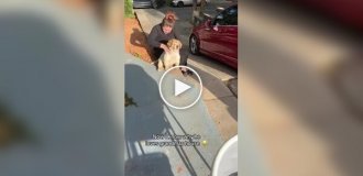 Щенок любит ездить в гости к бабушке