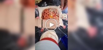 Крыса-пицца для нежеланного гостя