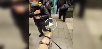 Пес все сделал без команды