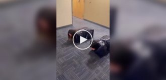 Студенты залезли в мешки и устроили необычный забег