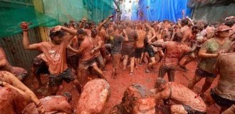 В Испании прошла юбилейная помидорная битва (5 фото + 1 видео)