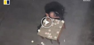 Шахматы под дождем