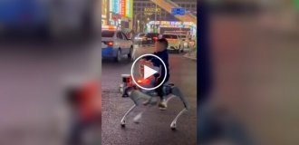 Boy rides a robot dog